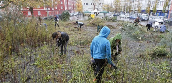 Treinta vecinos de Canido limpian dos fincas abandonadas